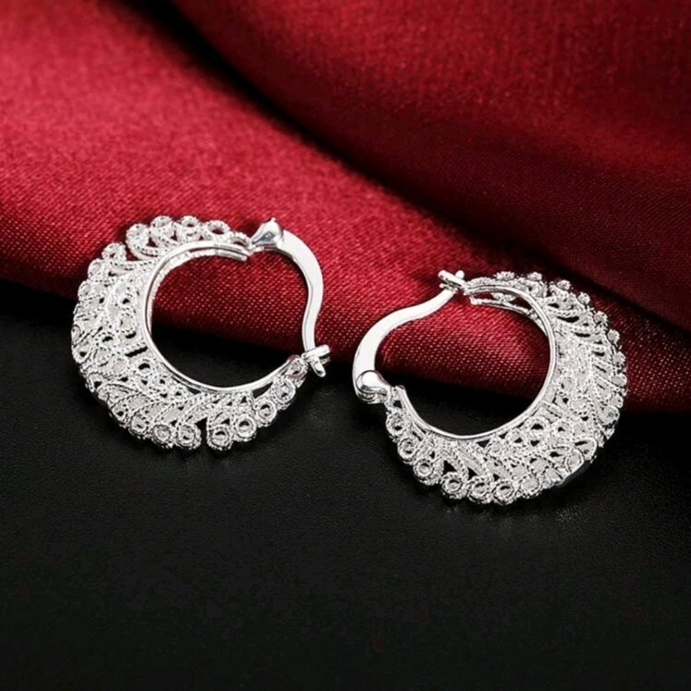 1pair Elegant Hoop Earrings For Women